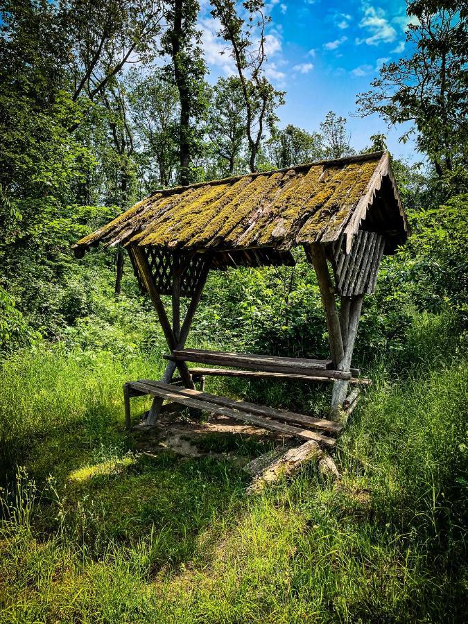 Gaestehaus An Der Berbke Arnsberg Zewnętrze zdjęcie